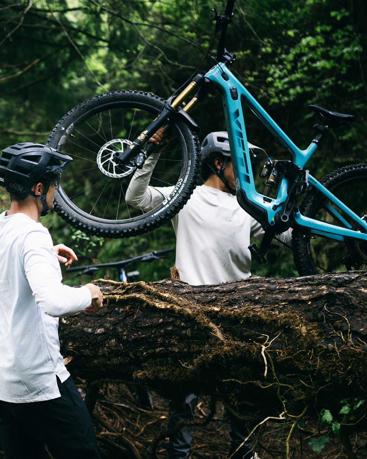 Mountainbike wird über einen Baumstamm gehoben