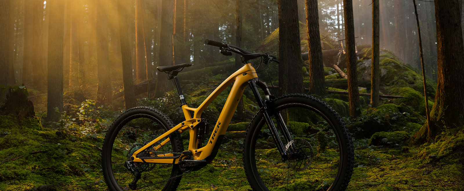 Gelbes Trek Fuel Exe E-Bike steht auf grün bemoosten Waldboden
